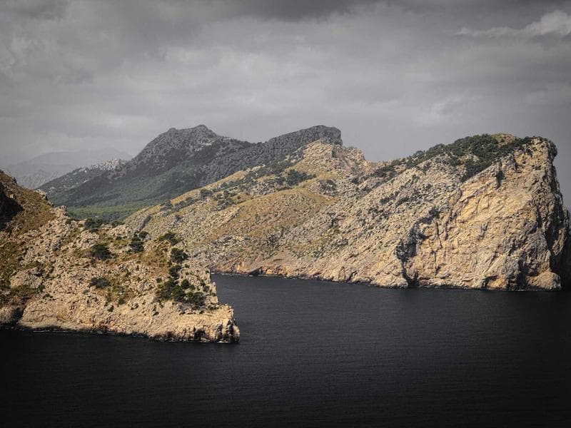 Robust Next.js Image Uploader with Shadcn UI & Cloudinary